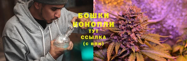 PSILOCYBIN Горно-Алтайск