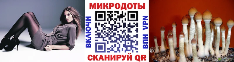 Галлюциногенные грибы ЛСД  Почеп 